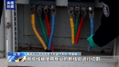 山东聊城籍盗窃团伙落网